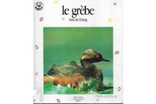 LE GREBE, LUTIN DE L'ETANG